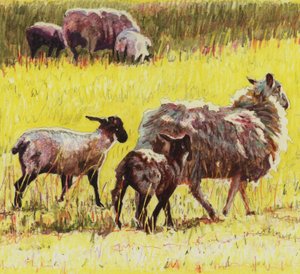 Following by Helen White